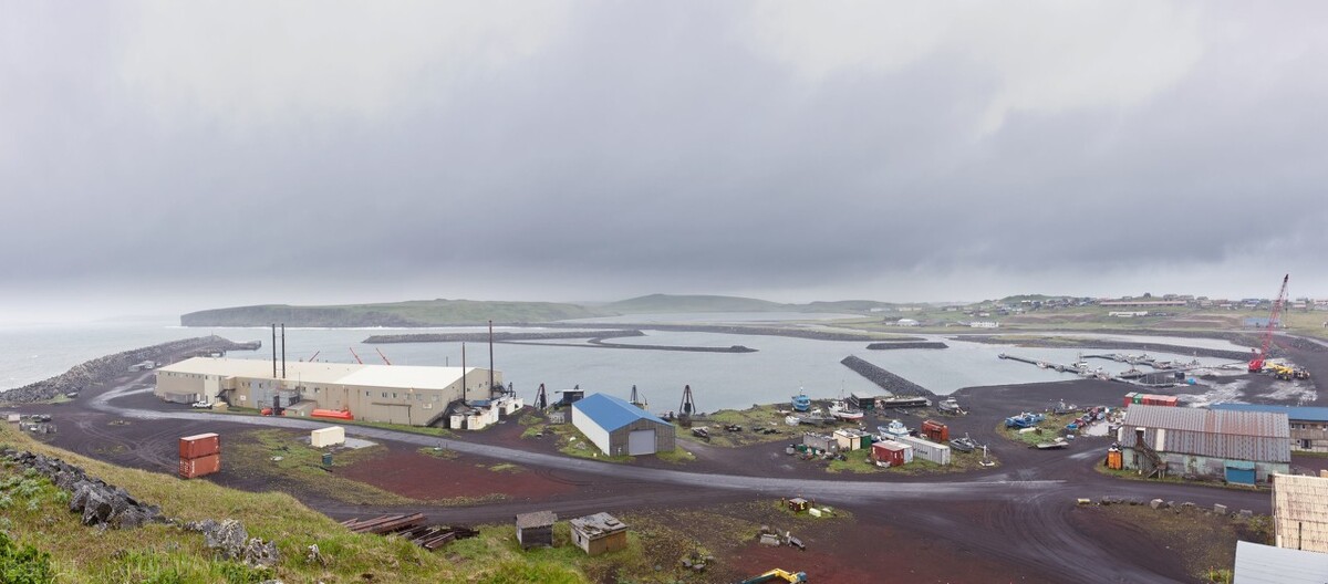 美西港口超1800人感染！深圳累計發(fā)現(xiàn)7名跨境貨車司機(jī)確診新冠